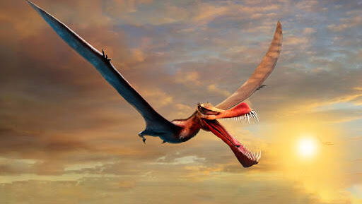 Immagine di Scoperto in Australia uno pterosauro simile a un drago