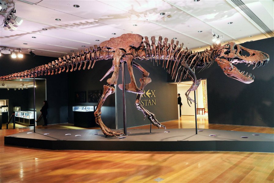 tyrannosaurus-rex-181214.jpg