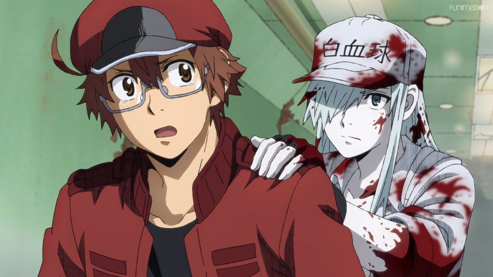 Immagine di Yamato annuncia il doppiaggio italiano Cells at Work! Black