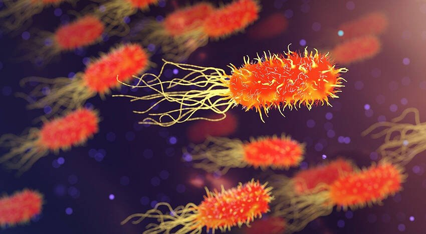 Immagine di Vecchi antibiotici nuovamente efficaci grazie ai nanocluster d'oro