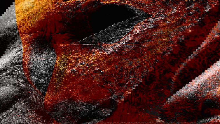 Immagine di Perchè Halloween Kills non segue il canon della serie omonima