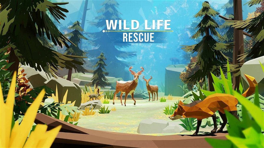 wild-life-rescue-192296.jpg