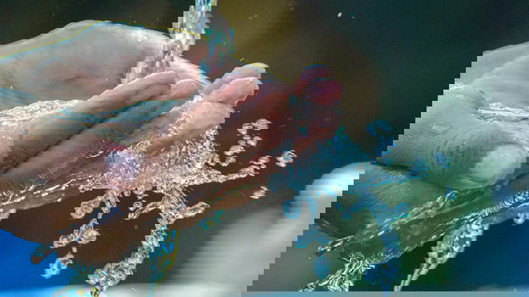 Immagine di Il ciclo dell'acqua della Terra sta cambiando drasticamente