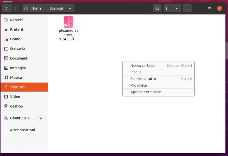 installazione-ubuntu-plex-passaggi-201480.jpg