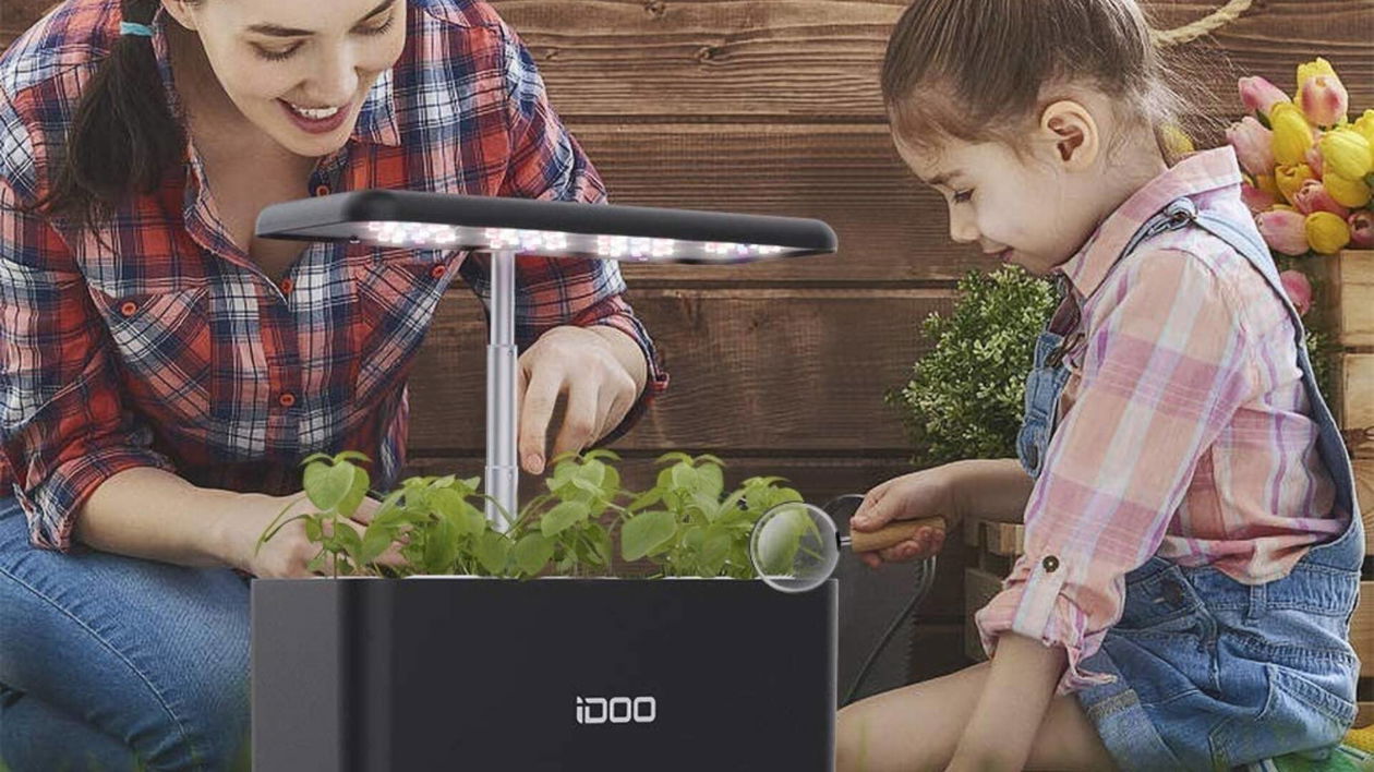 Immagine di Coltiva anche in casa con questa serra idroponica a meno di 70€