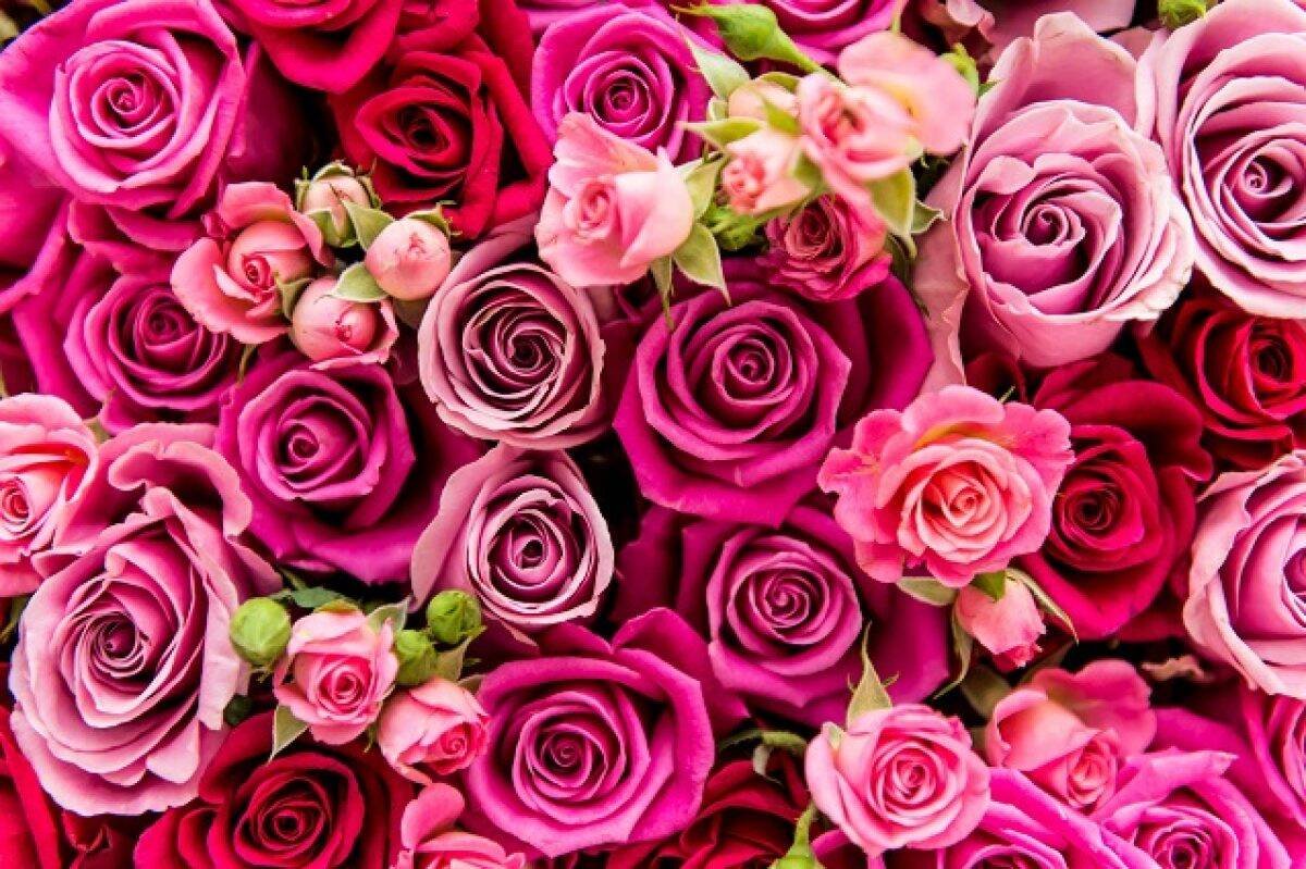 Immagine di Un regalo per San Valentino? Scopri le offerte floreali di Mia Milano! Queste rose eterne sono bellissime!