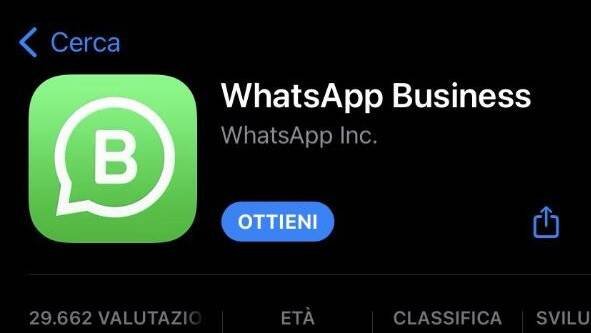 whatsapp-business-208640.jpg