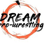 dream-wrestling-213374.jpg
