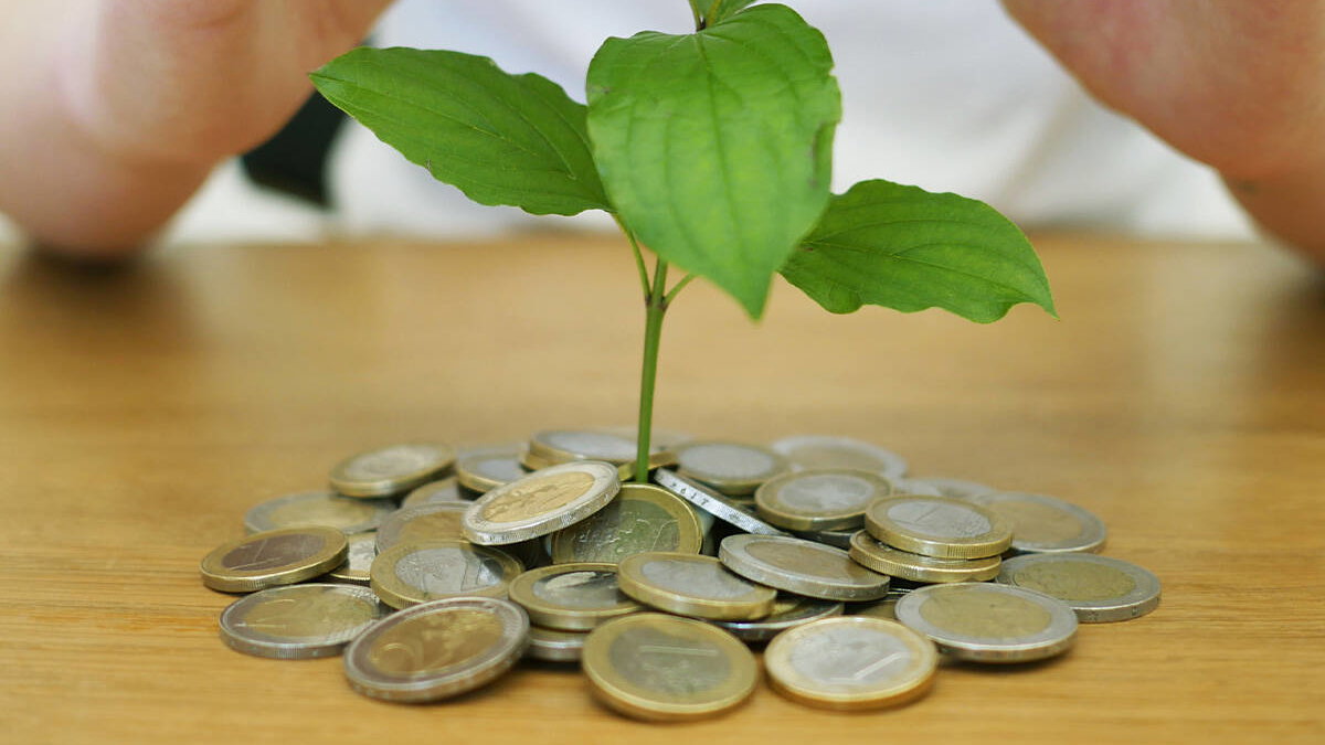 Immagine di Offerte di settembre Amazon: 5 prodotti per risparmiare sulla bolletta elettrica