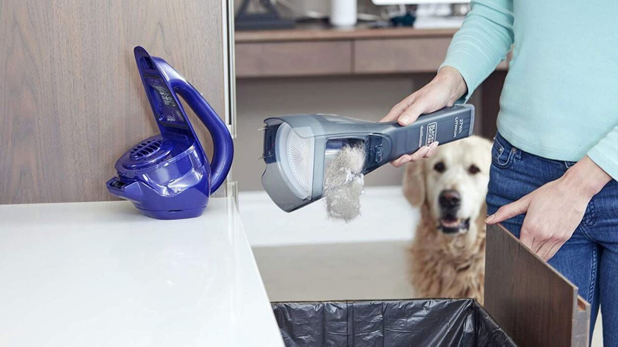 Immagine di Aspirabriciole | I migliori del 2023