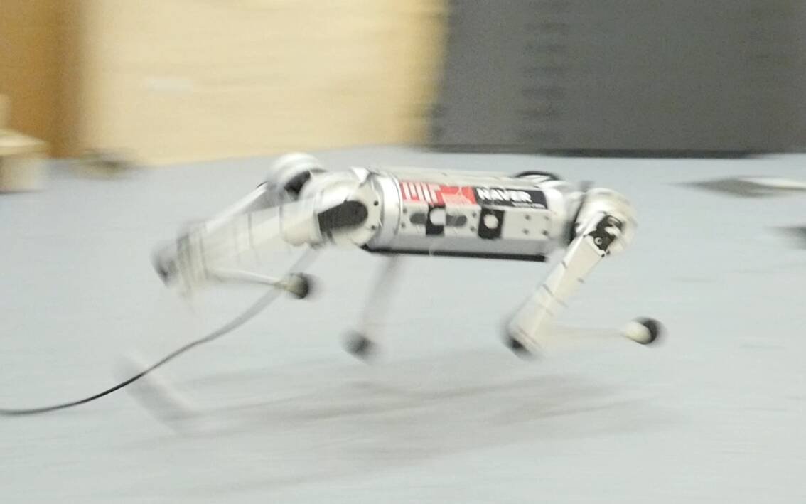 Immagine di Il mini robot del MIT stabilisce un nuovo record di velocità grazie all'esperienza