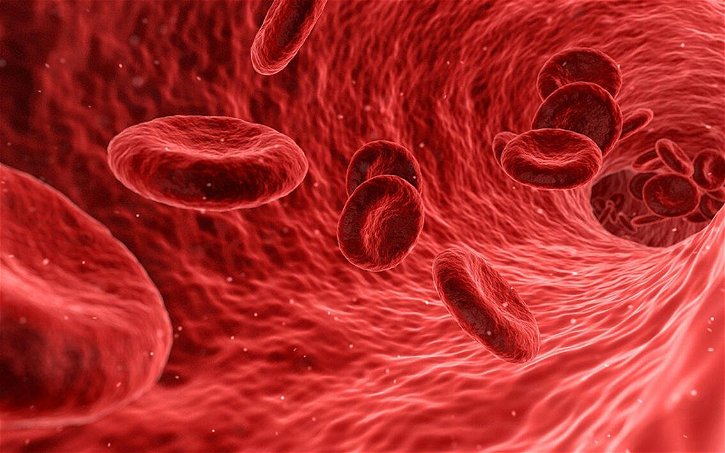 Immagine di Microplastiche trovate per la prima volta nel sangue umano