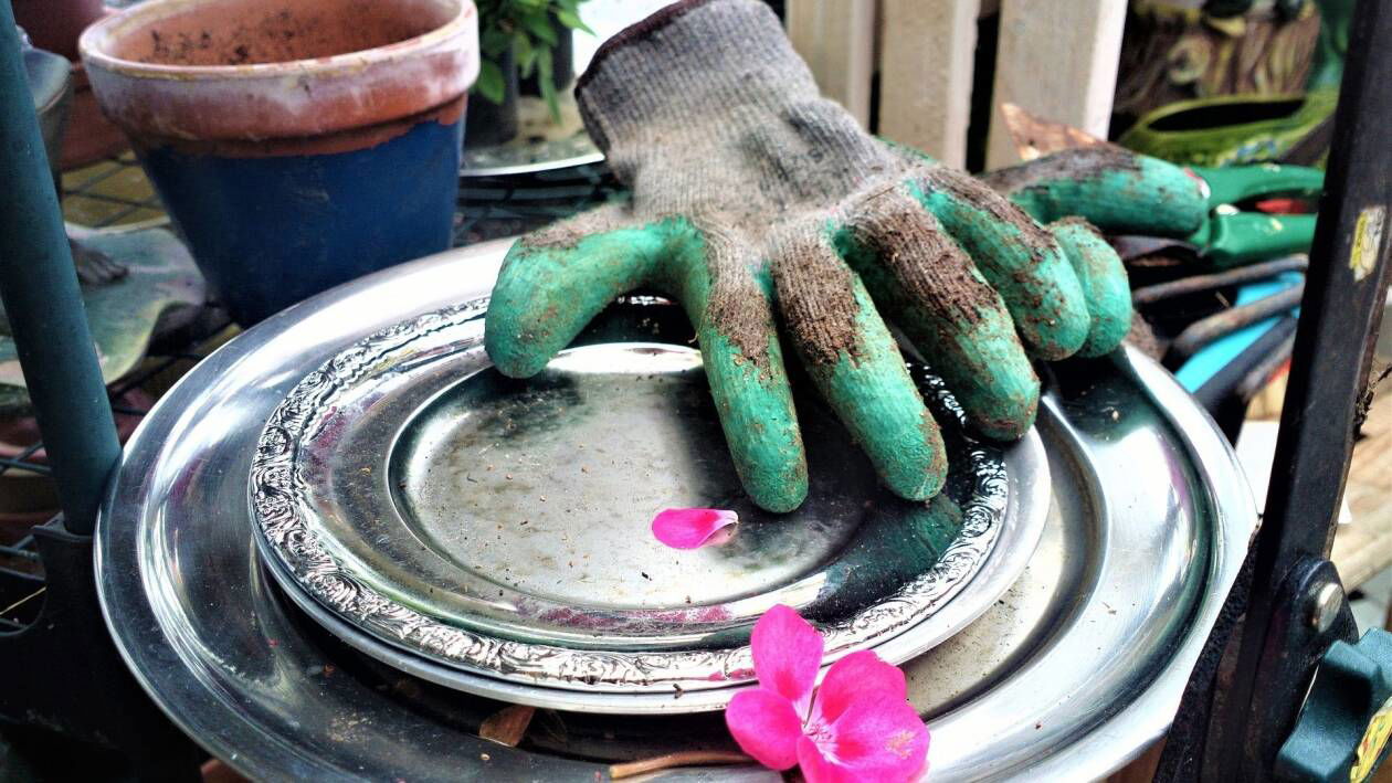 Immagine di Guanti da giardinaggio | I migliori del 2023