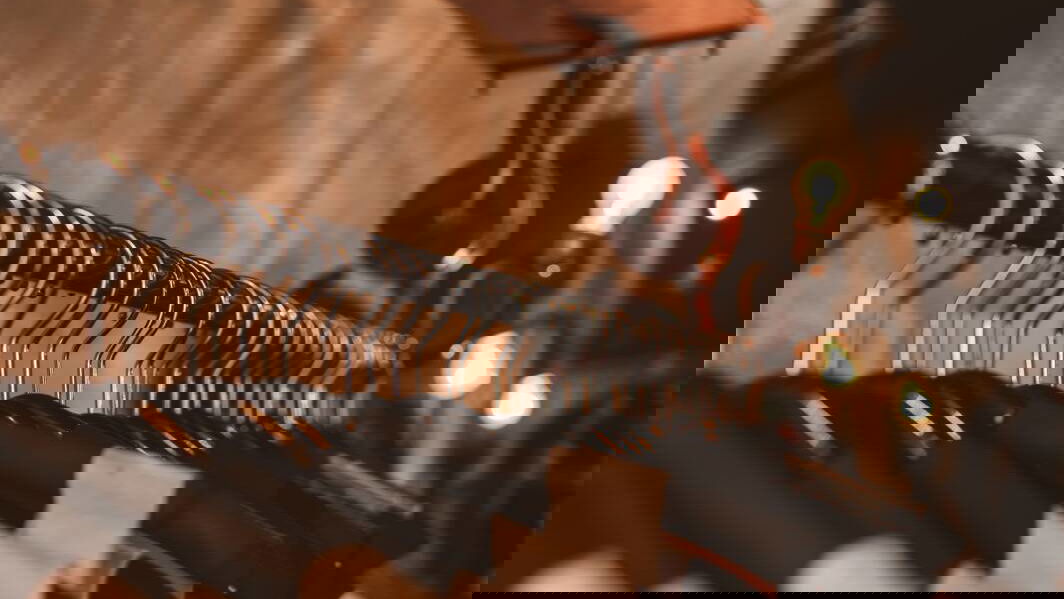 Immagine di Imperfetti ma unici: capi nuovi ma difettati, in sconto del 60% su eBay!