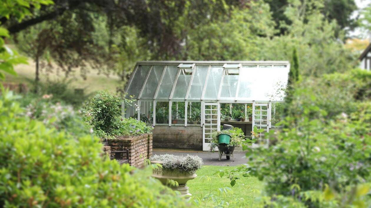 Immagine di Rinnova il tuo giardino con le nuove offerte eBay: sconti fino al 50%!