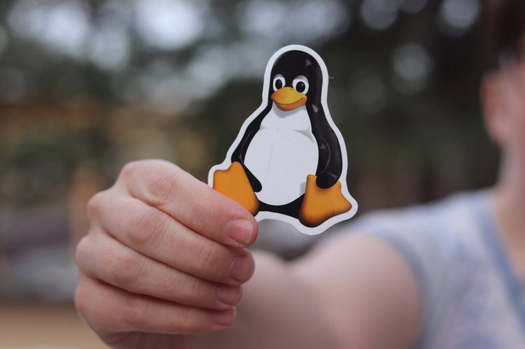 Immagine di Linux da record: quasi raddoppiata la sua presenza in 5 anni