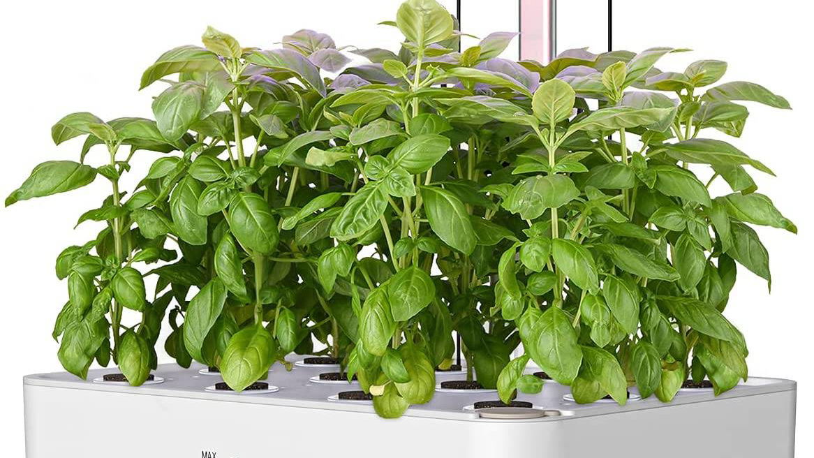 Immagine di Serra intelligente iDOO in sconto del 29% su Amazon!