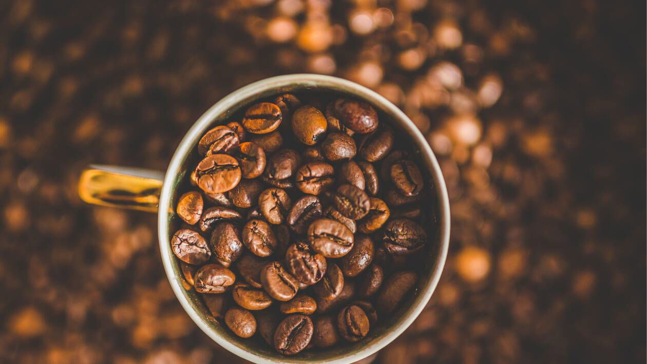 Immagine di Macchina per il caffè Bialetti in sconto del 37% e hai anche le capsule in omaggio!