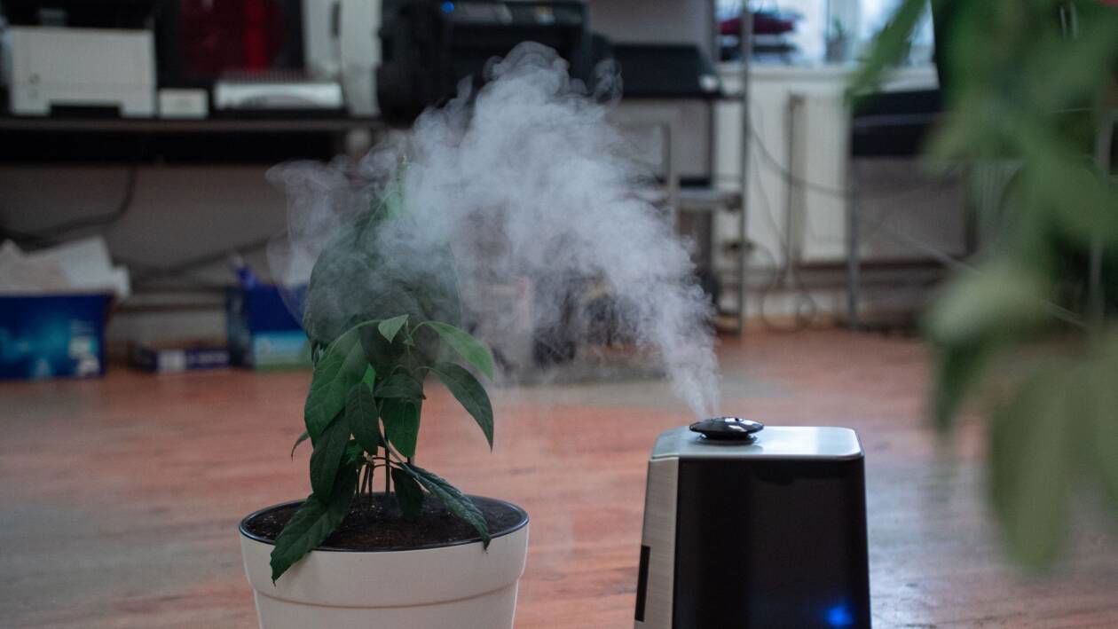 Immagine di 46% di sconto su questo splendido purificatore d'aria Rowenta!