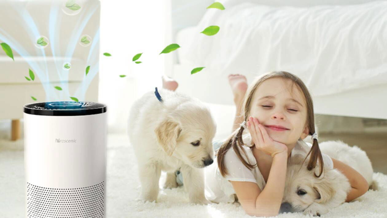 Immagine di 50 euro di sconto su questo ottimo purificatore d'aria Proscenic!