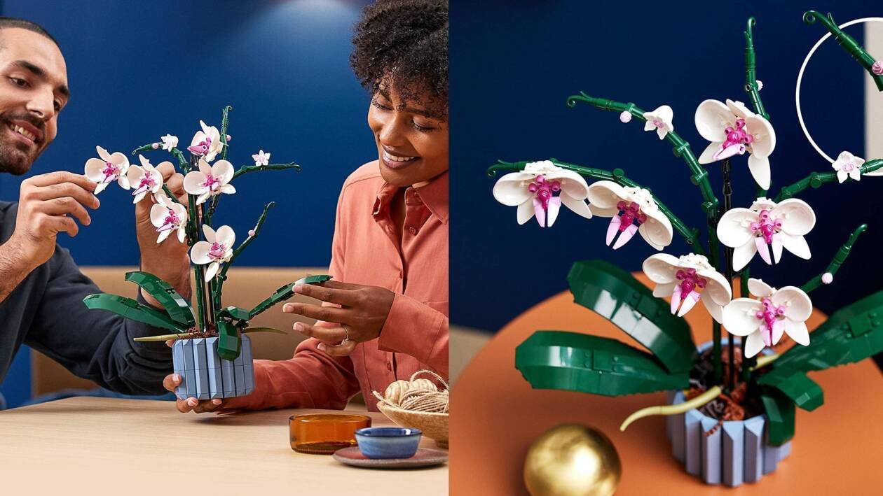 Immagine di La bellissima orchidea fatta di Lego è in sconto del 20% su Amazon!
