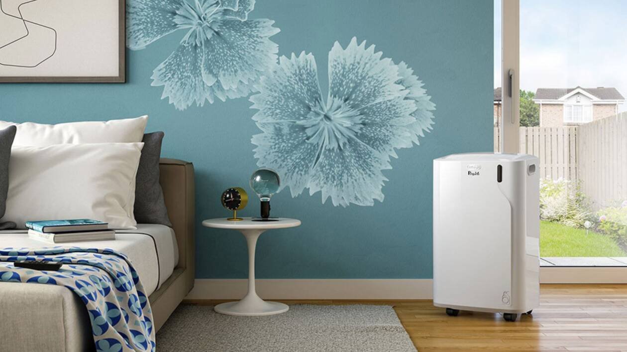 Immagine di Sconti oltre il 30% su condizionatori, ventilatori e deumidificatori per rinfrescare la tua estate!