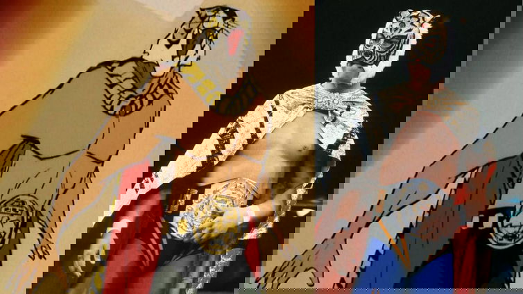 Immagine di Dal fumetto al ring: chi era Tiger Mask?