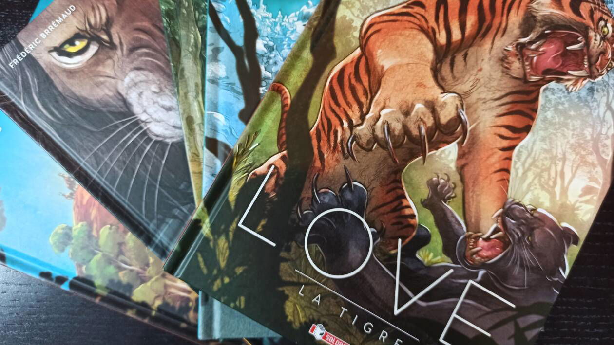 Immagine di Perché leggere LOVE, l'emozionante serie con protagonisti gli animali
