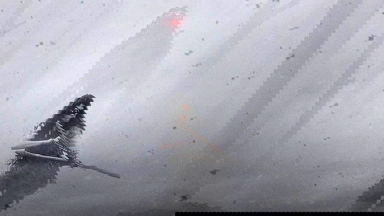 Immagine di Feral Predator: tutti i segreti dello yautja di Prey