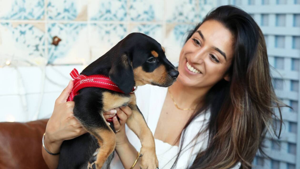 Immagine di OnePlus vi salva dall'ansia con... dei cuccioli di Labrador?