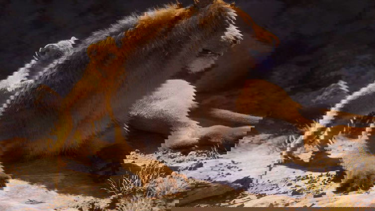 Immagine di Unity: la nuova tech demo 4K è davvero impressionante