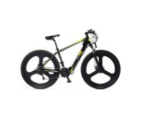 biciclette-elettriche-249336.jpg