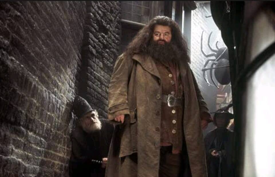 Immagine di Morto a 72 anni Robbie Coltrane, il mitico Hagrid in Harry Potter
