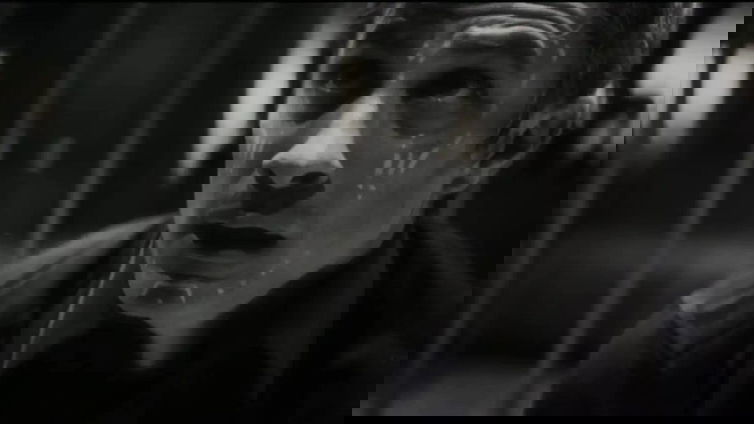 Immagine di Werewolf by Night e la validità delle Special Presentation per il Marvel Cinematic Universe
