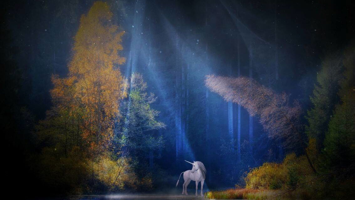 Immagine di Cinque indicatori per le startup di successo