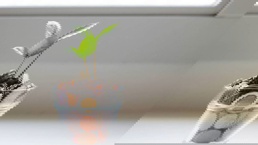 Immagine di L’ecosistema cloud di Microsoft moltiplica il valore