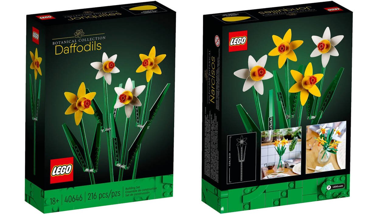 Orchidea e Piante Grasse sono i due nuovi set LEGO