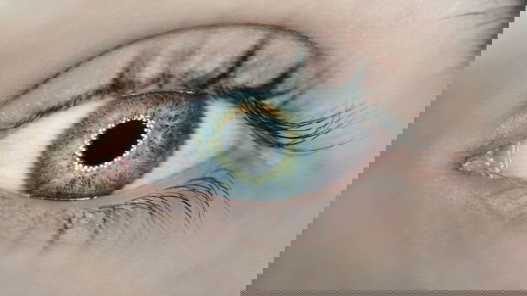 Immagine di Nvidia Broadcast: lo sguardo è sempre in camera