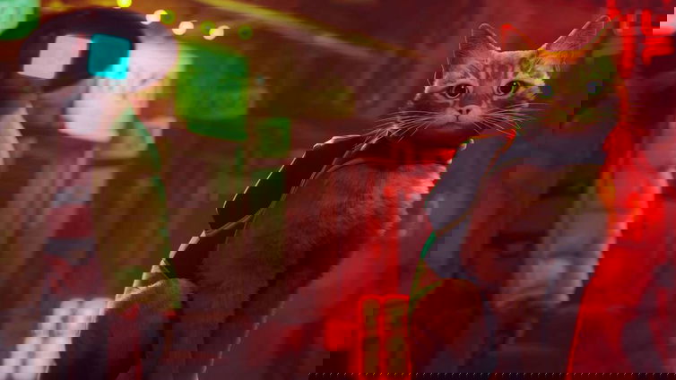Immagine di Stray per i gatti bisognosi di aiuto, ecco l'apporto del videogioco