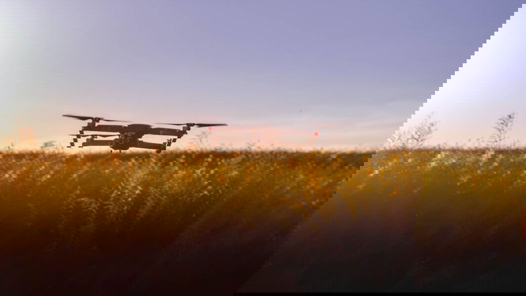 Immagine di L'agricoltura 4.0 salva le spese delle aziende: processi e strumenti si rinnovano