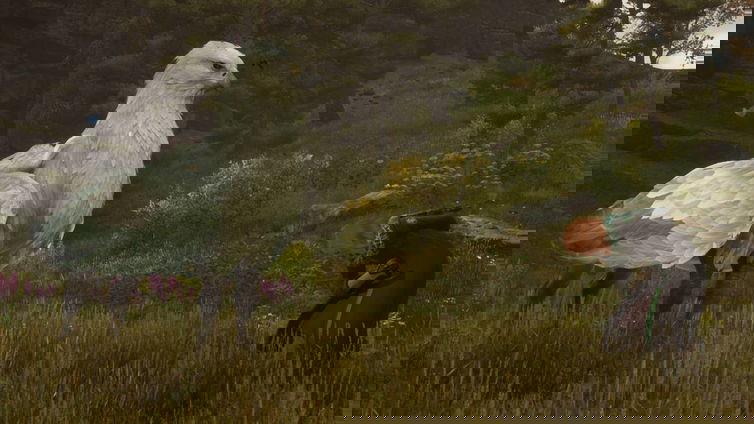 Immagine di Hogwarts Legacy ha fatto il botto su Twitch