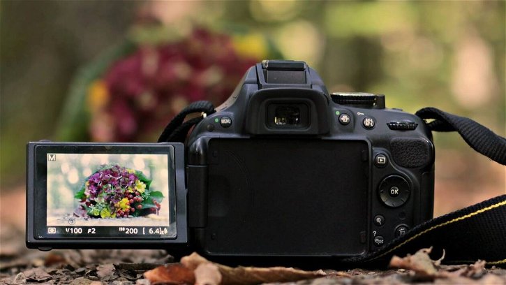 Immagine di Migliori fotocamere reflex (ottobre 2023)