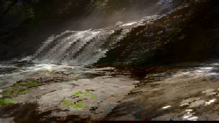 Immagine di Sons of the Forest impressiona e vende 2 milioni di copie in un solo giorno