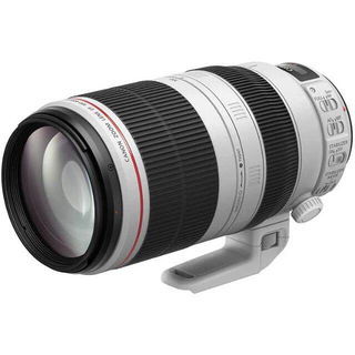 Immagine di Canon EF 100-400mm f/4.5-5.6L IS II USM