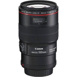 Immagine di Canon EF 100mm f/2.8L Macro IS USM