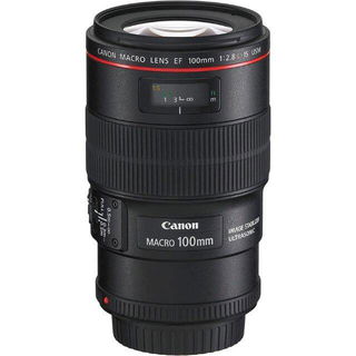 Immagine di Canon EF 100mm f/2.8L Macro IS USM