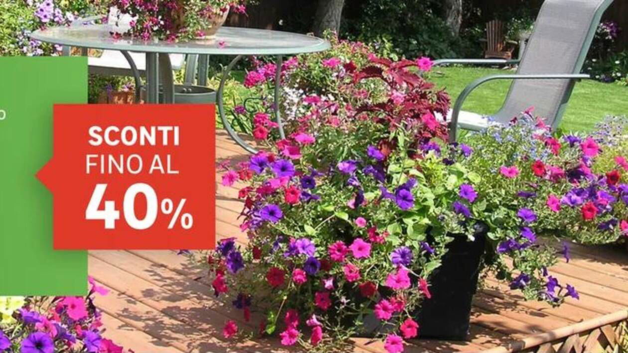 Immagine di Prepara il tuo giardino con le offerte fino al 40% di Leroy Merlin!