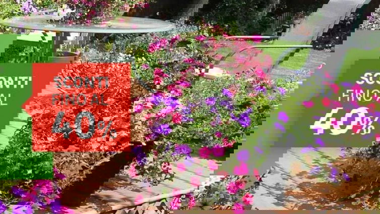 Immagine di Prepara il tuo giardino con le offerte fino al 40% di Leroy Merlin!