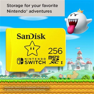 sandisk-256gb-per-nintendo-switch-270245.jpg