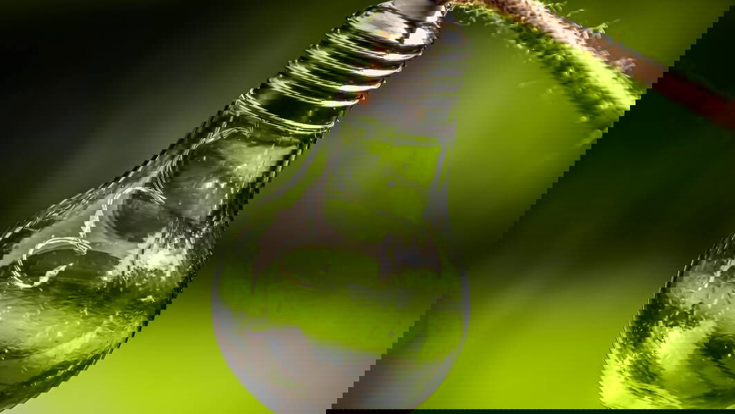 Immagine di Le aziende europee non sono preparate per la sostenibilità